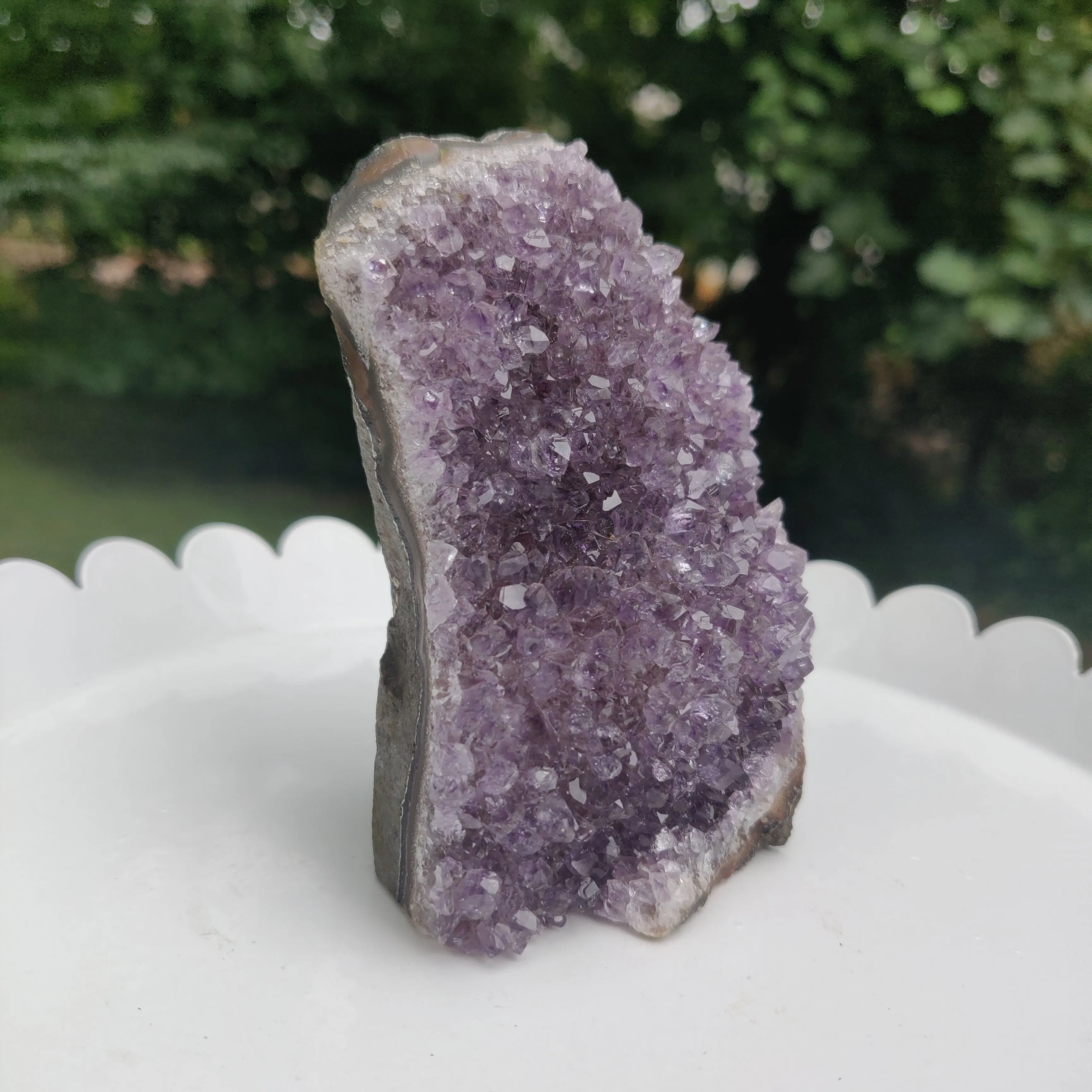 Amethyst Geode Free Form, Cut Base (#22)