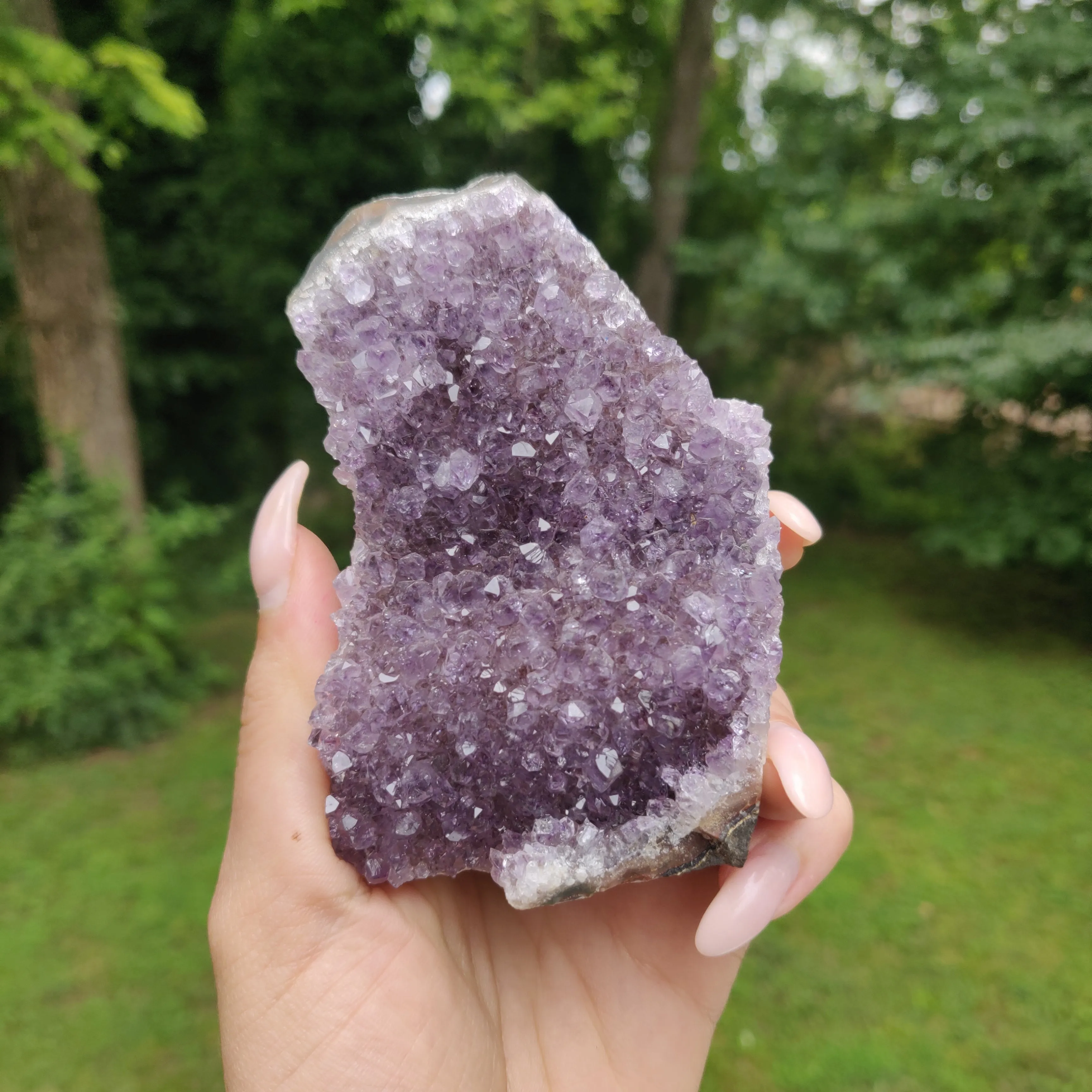 Amethyst Geode Free Form, Cut Base (#22)