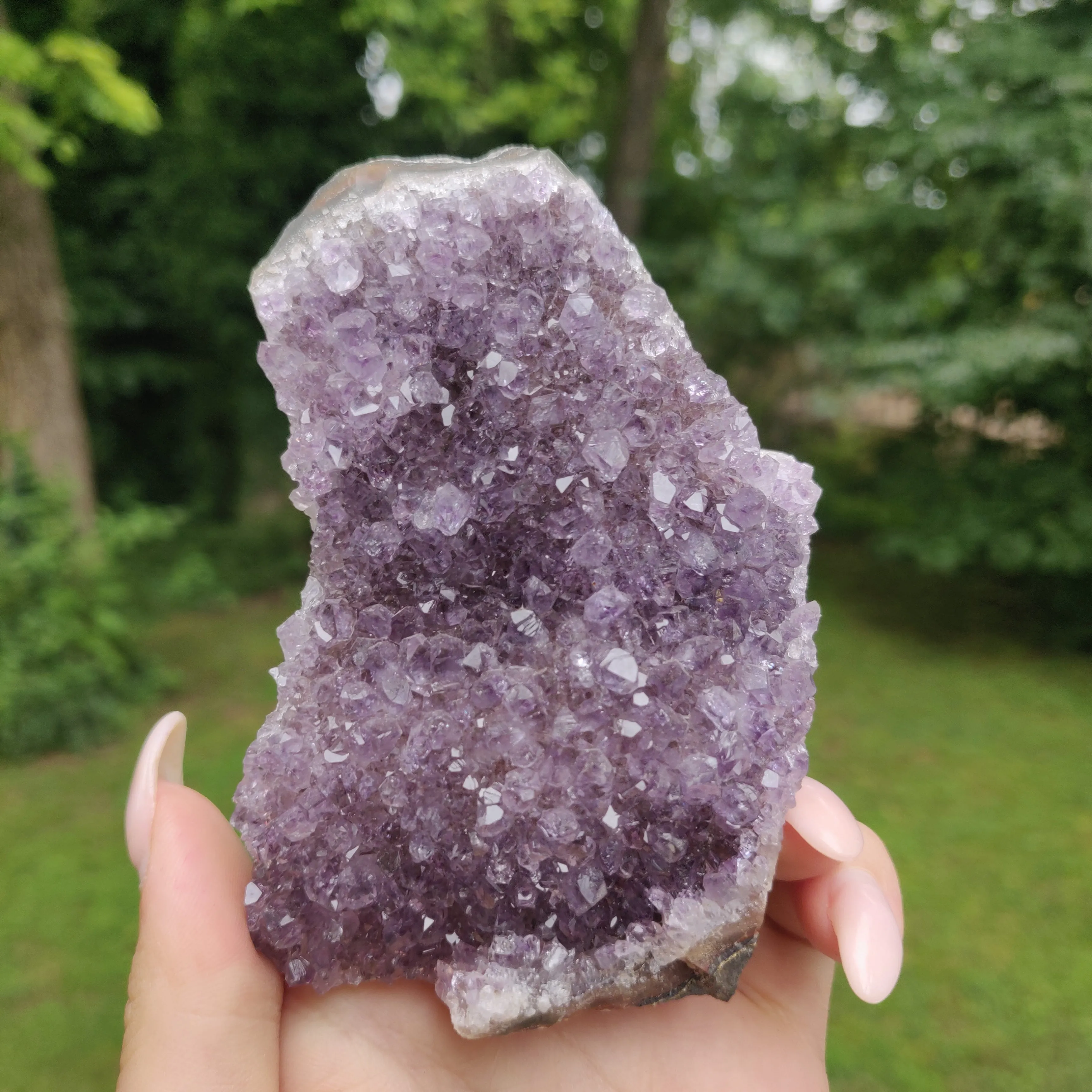 Amethyst Geode Free Form, Cut Base (#22)
