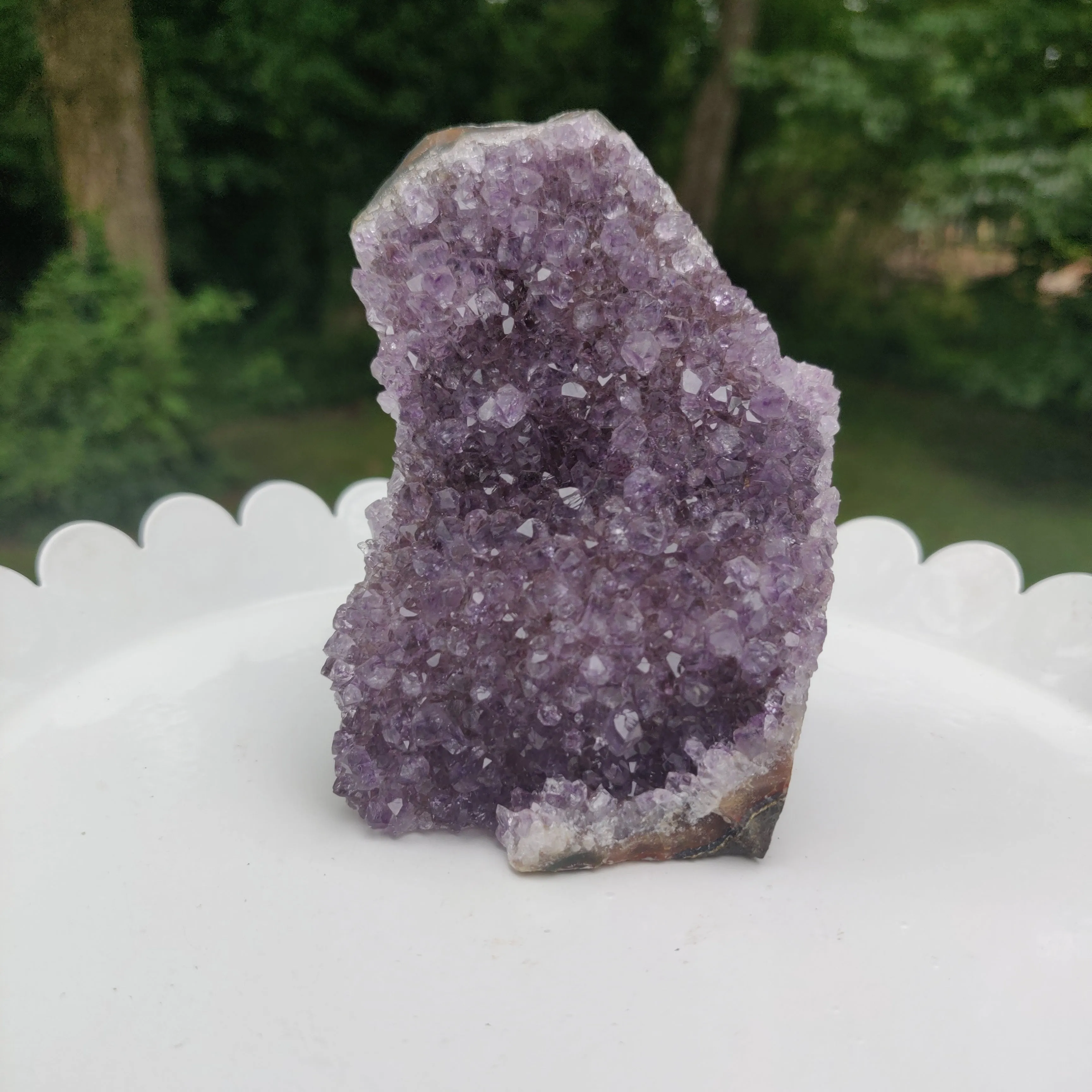 Amethyst Geode Free Form, Cut Base (#22)