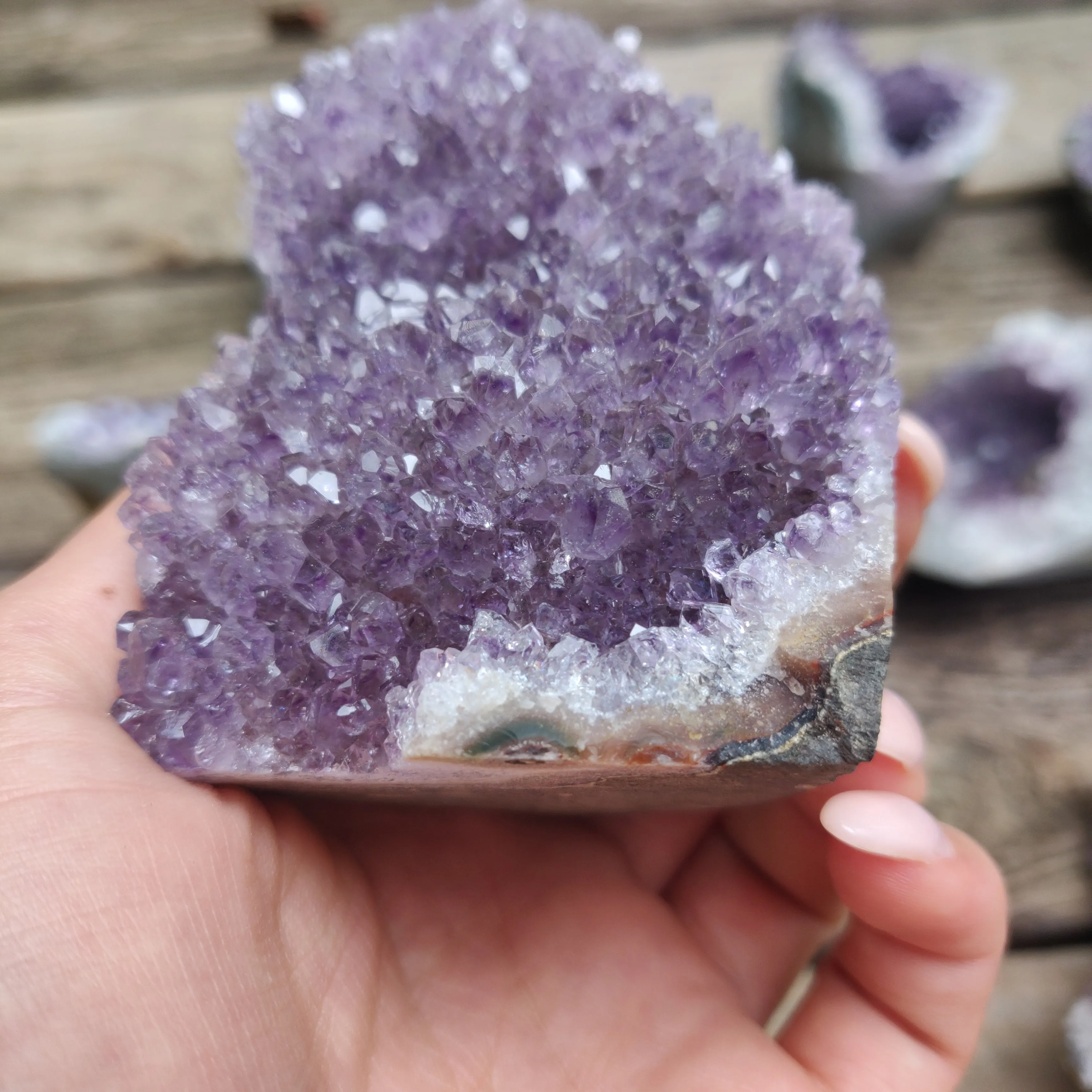 Amethyst Geode Free Form, Cut Base (#22)