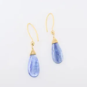 Kyanite Teardrop on Forged Ear Wires