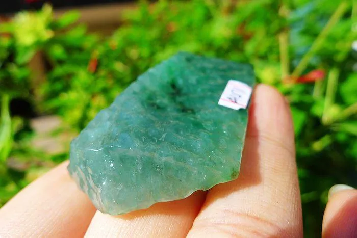 Natural Jade Rough Jadeite Raw (30.5g,4.9X3.2X1.2cm)