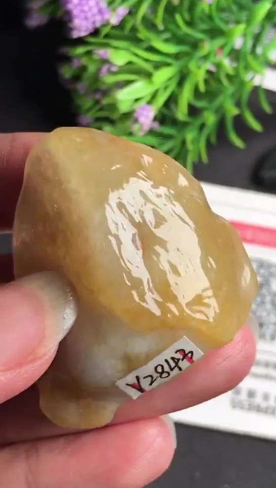 Natural Jade Rough Jadeite Raw (31g,3.8x3.3x1.6cm)-V2843