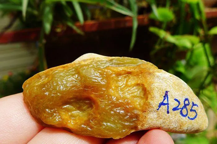 Natural Jade Rough Jadeite Raw (50g,6.6X2.9X1.9cm)