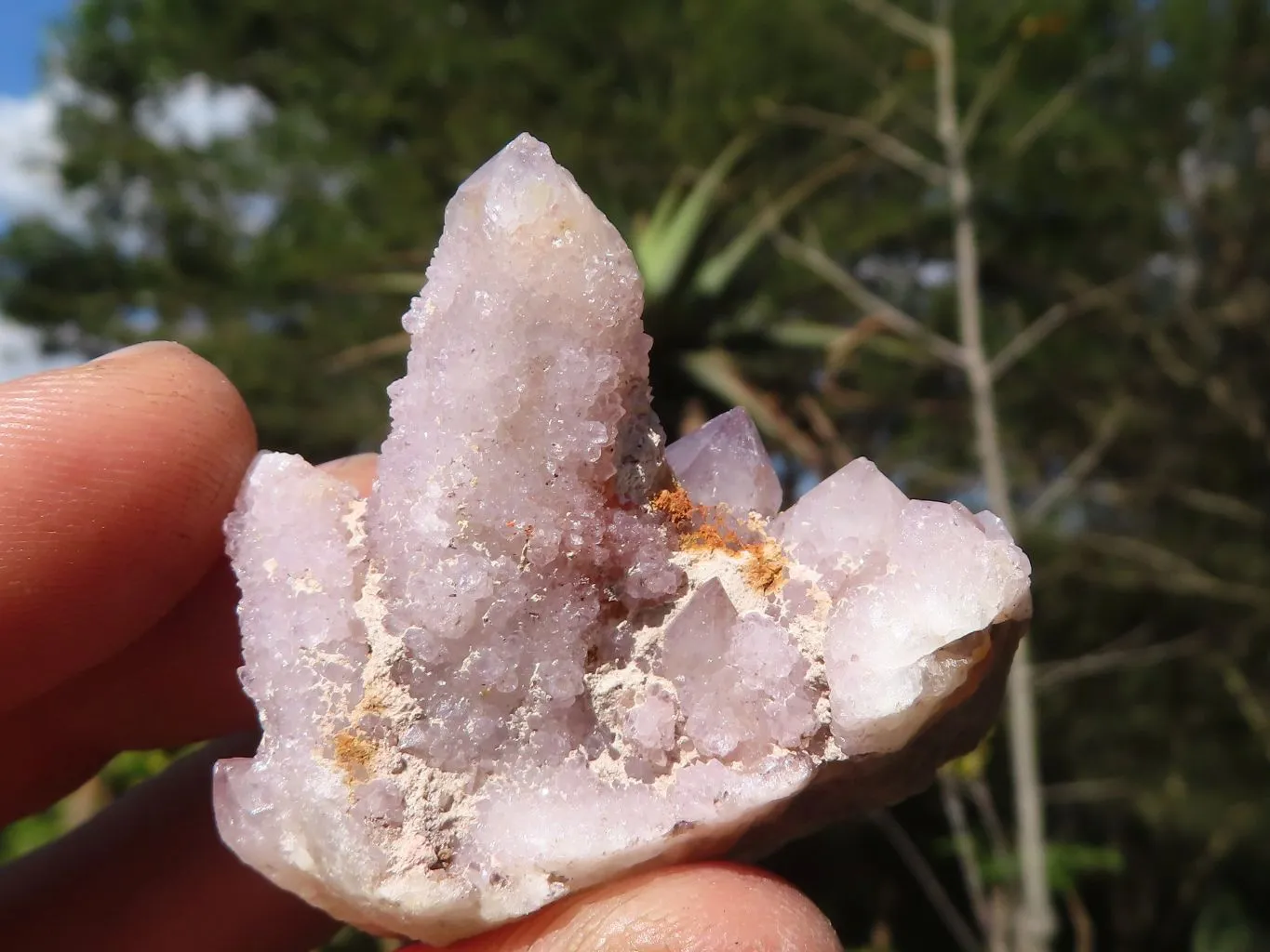 Natural Small Spirit Amethyst Crystals x 70 From Boekenhouthoek, South Africa