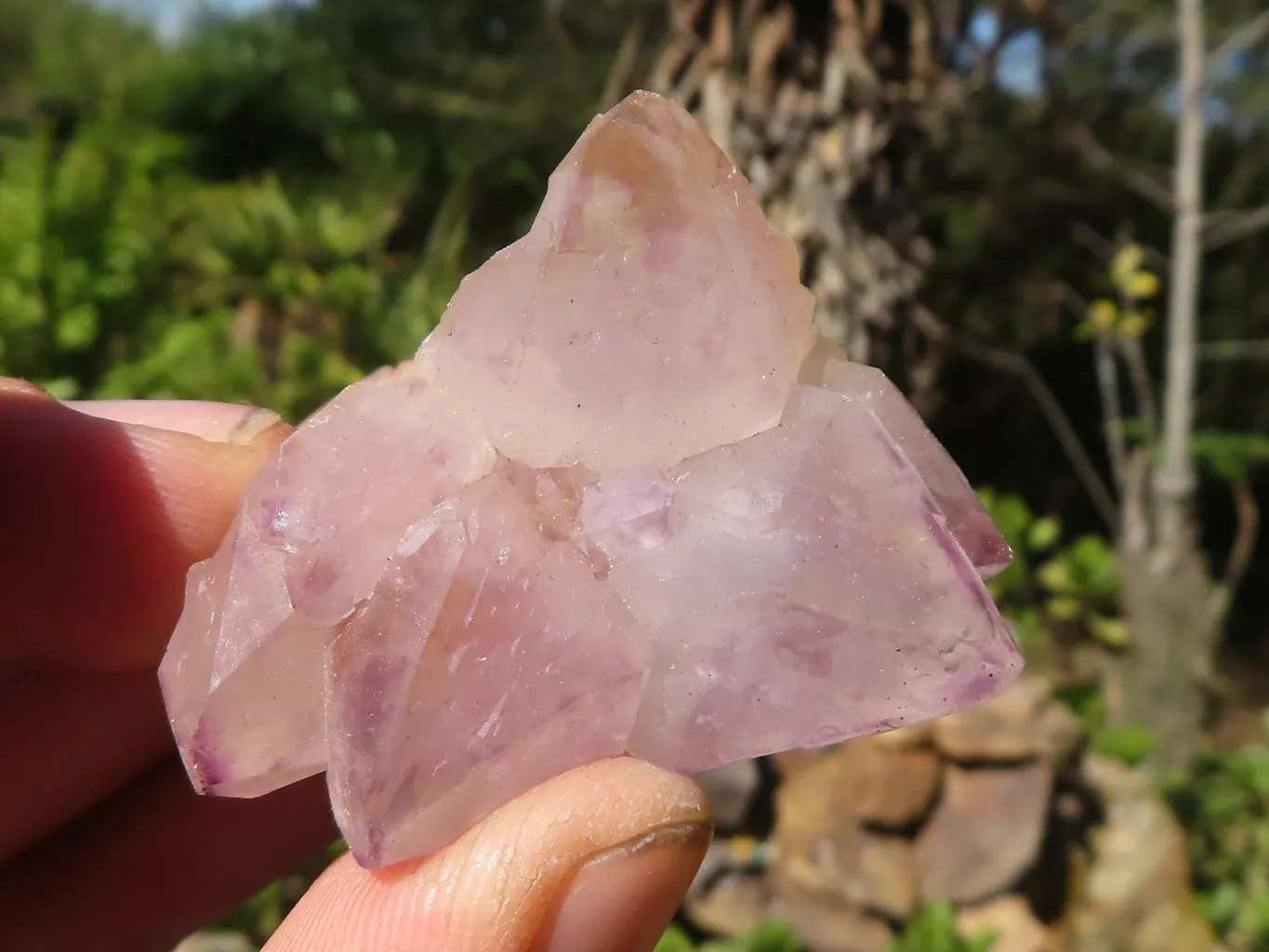 Natural Small Spirit Amethyst Crystals x 70 From Boekenhouthoek, South Africa