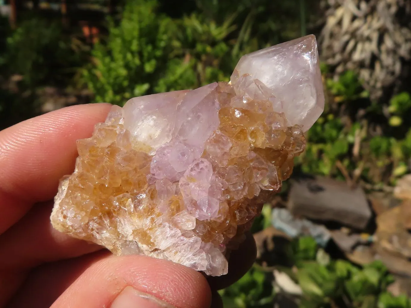 Natural Small Spirit Amethyst Crystals x 70 From Boekenhouthoek, South Africa