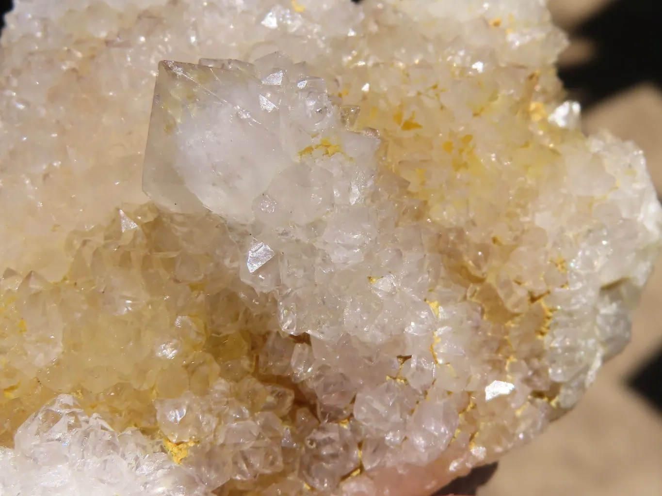 Natural Spirit Quartz Clusters x 6 From Boekenhouthoek, South Africa