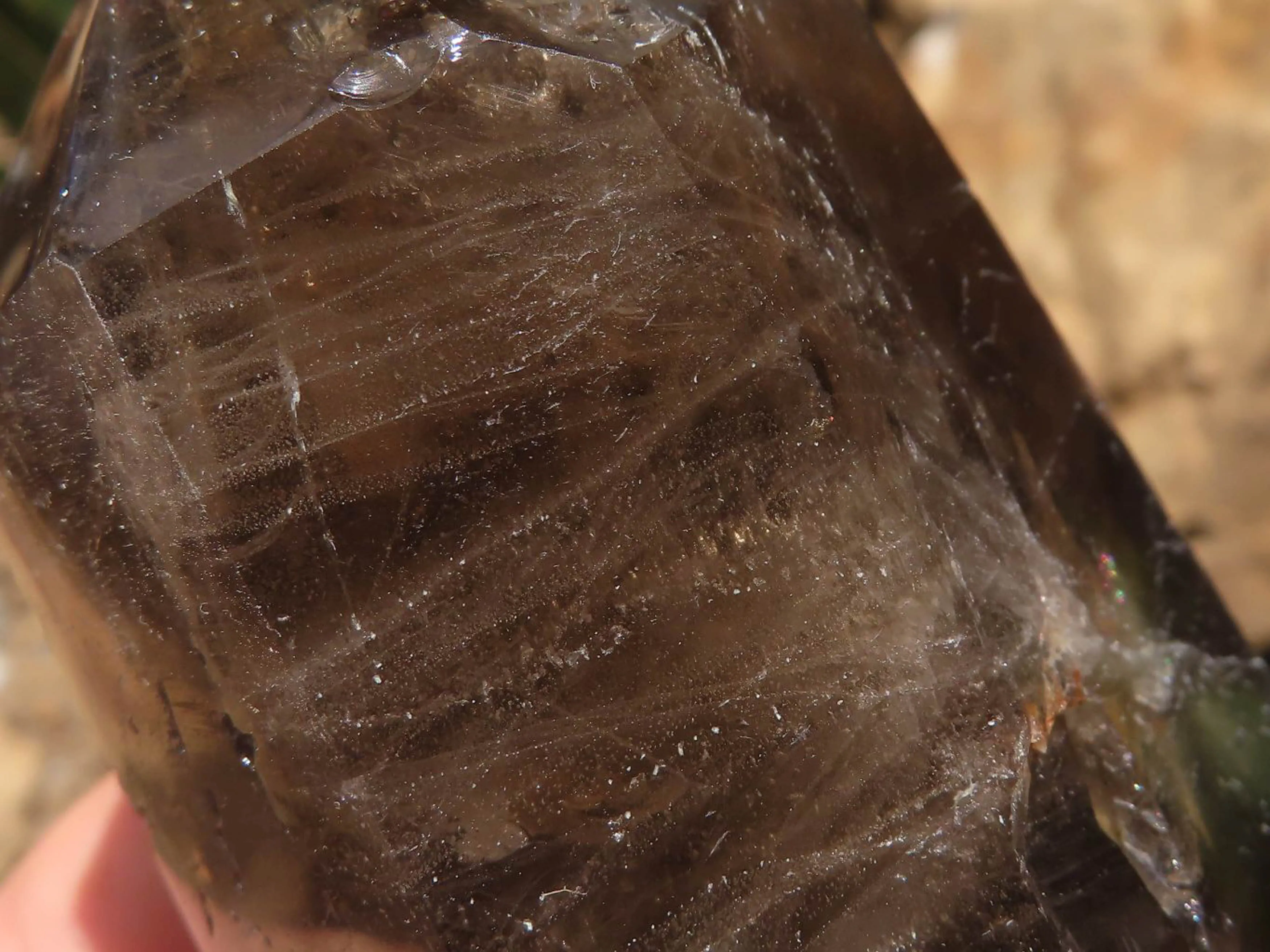 Polished Mixed Selection Of Smokey Quartz Crystals x 6 From Madagascar