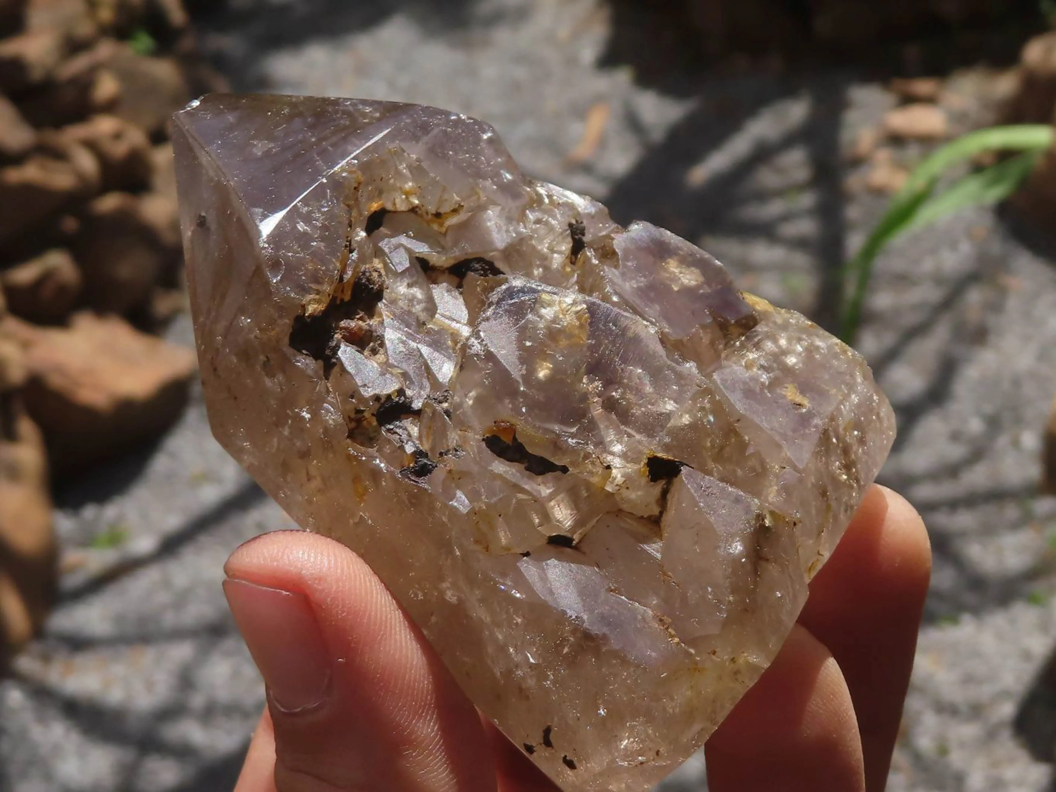 Polished Mixed Selection Of Smokey Quartz Crystals x 6 From Madagascar