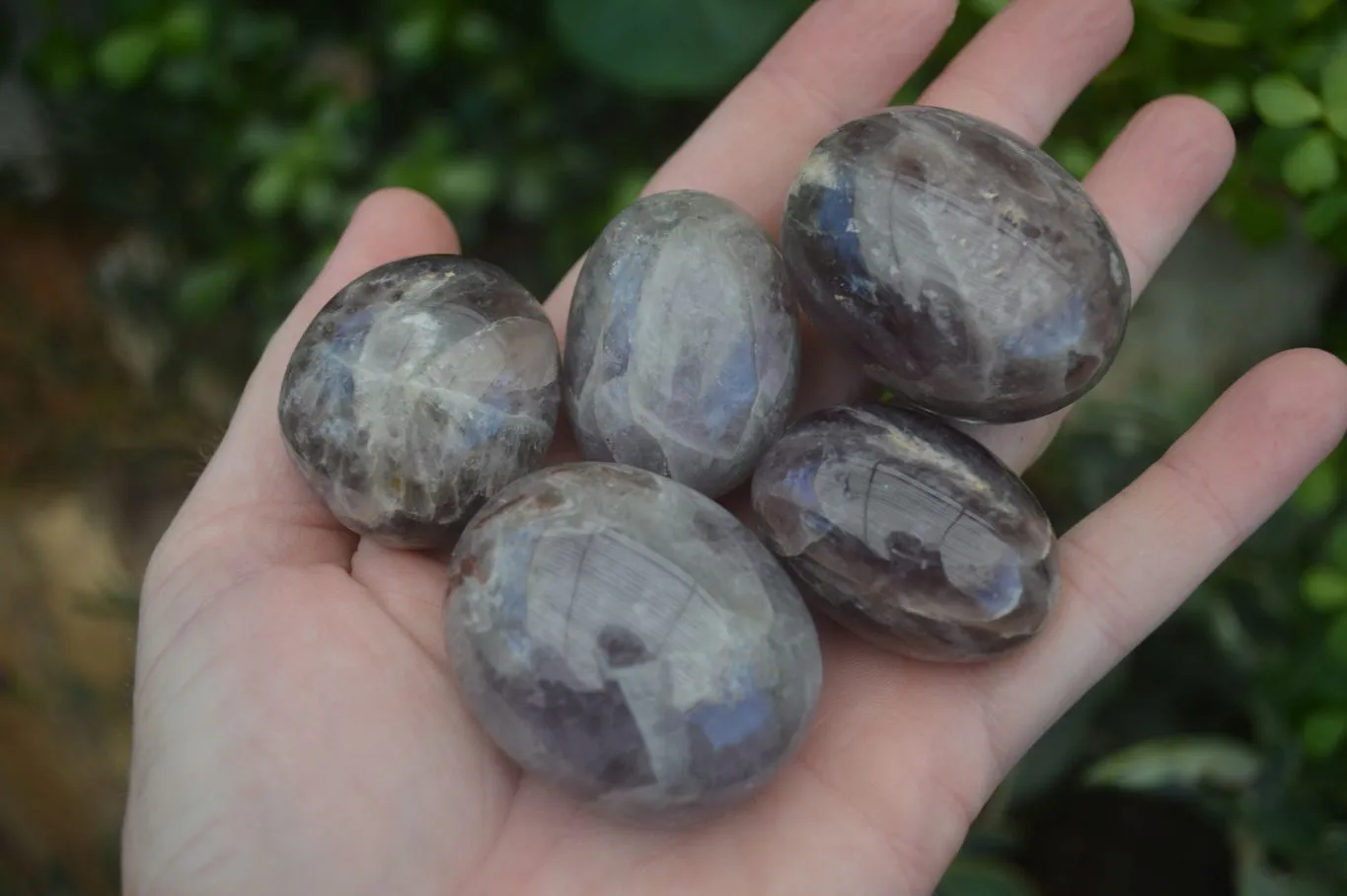 Polished Smokey Dream Amethyst Galet - Palm Stones x 12 From Madagascar
