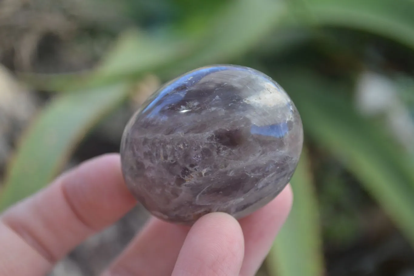 Polished Smokey Dream Amethyst Galet - Palm Stones x 12 From Madagascar