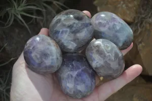 Polished Smokey Dream Amethyst Galet - Palm Stones x 12 From Madagascar