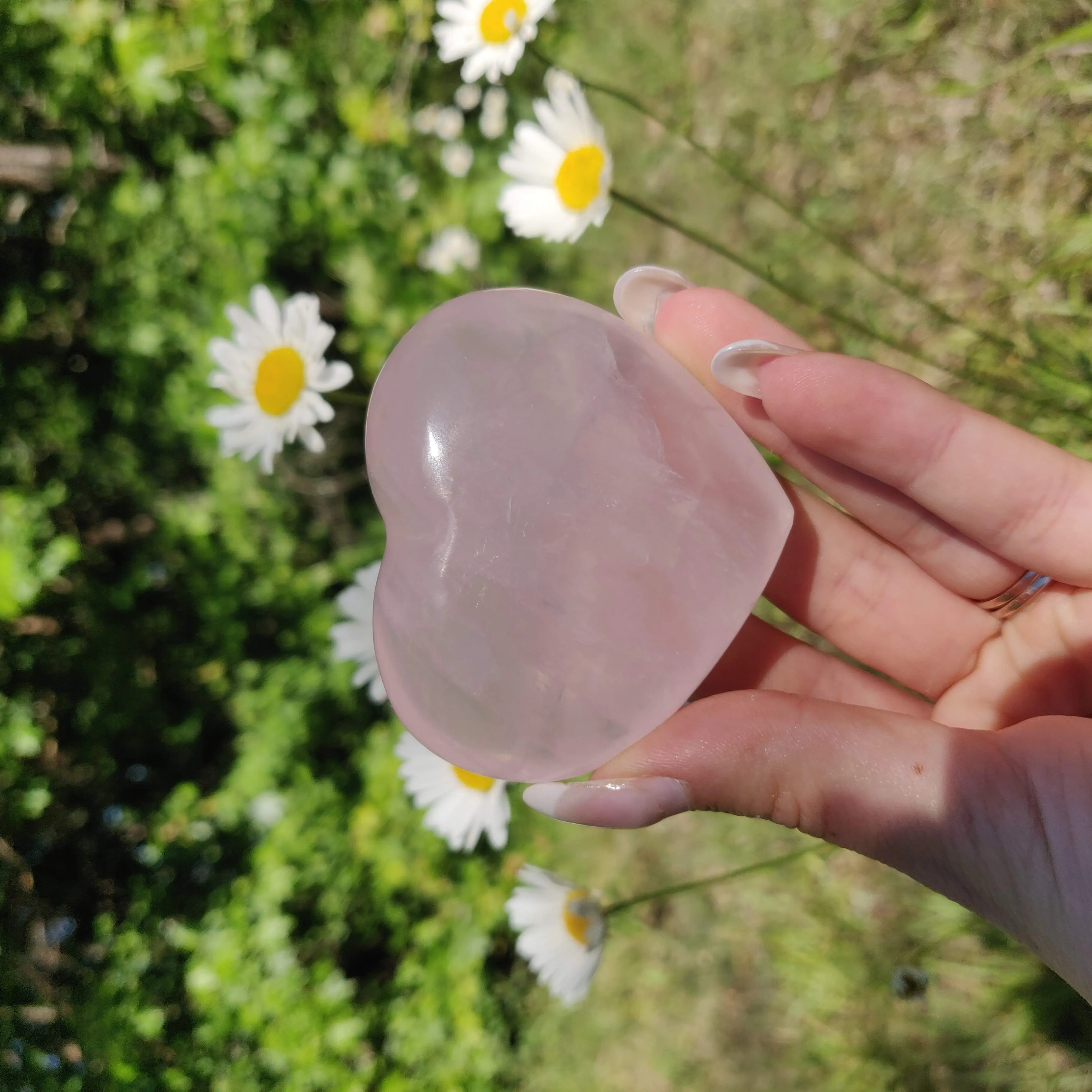 Star Rose Quartz Heart (#1M)